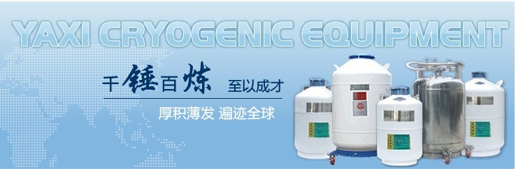 液氮容器贮存（YDS-35-125）