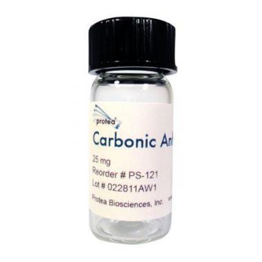 质谱Carbonic Anhydrase标准品