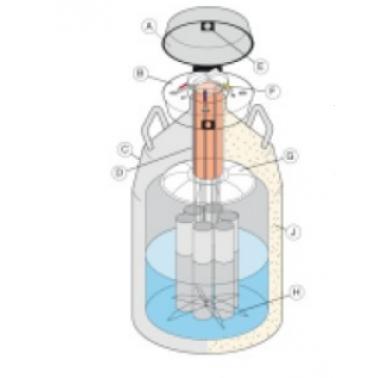 Thermo Locator 液氮罐系统（Thermo Locator Liquid Nitrogen Tank）CY509110CN，带液位控制器