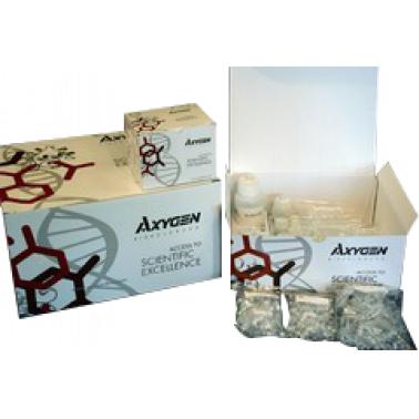 AxyPrep 血基因组DNA大量制备试剂盒