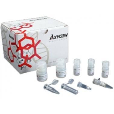 AxyPrep 质粒小量制备试剂盒