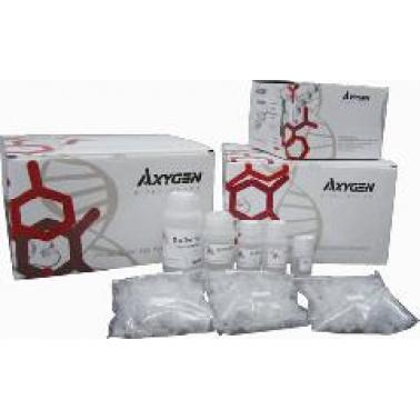 AxyPrep 体液病毒DNA/RNA小量制备试剂盒