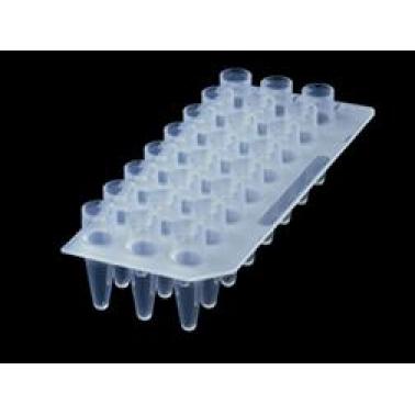 Axygen 爱思进 24孔 PCR板 （ PCR-24-C）