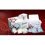 AxyPrep-96 血基因组DNA试剂盒