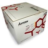 AxyPrep 质粒大量制备试剂盒