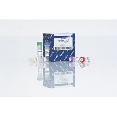 QIAGEN OneStep RT-PCR Kit (25)